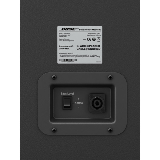 B2 BASS MODULE - INPUT/OUTPUT